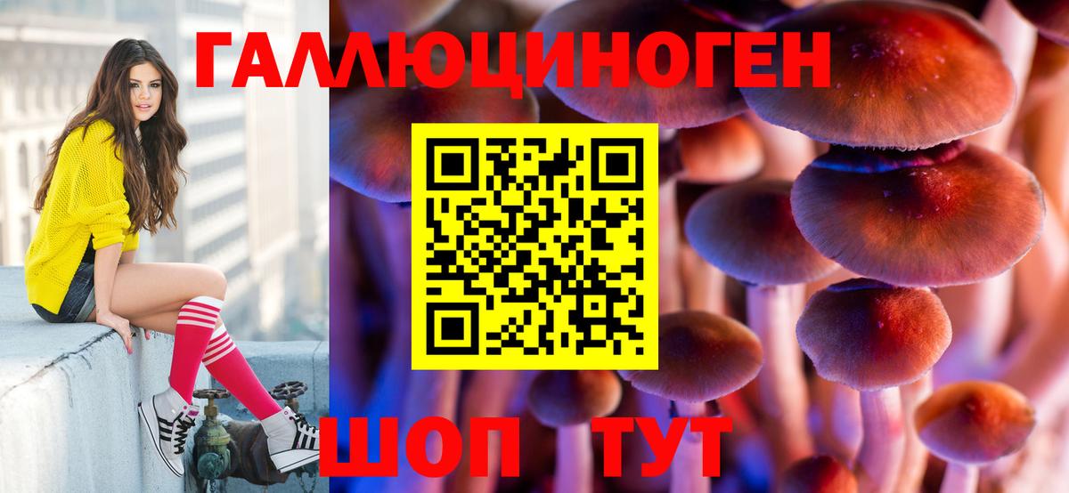 Псилоцибиновые грибы Cubensis Гуково