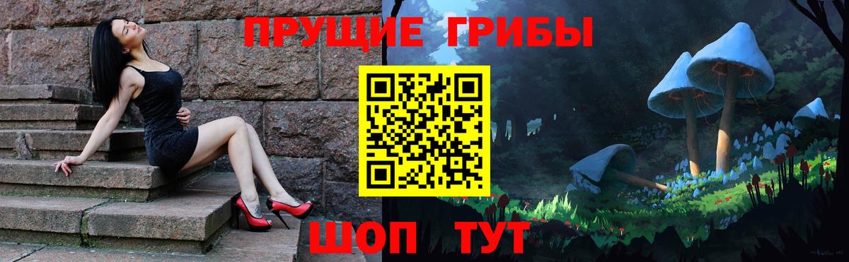 Гуково  Псилоцибиновые грибы прущие грибы  Вход с VPN 