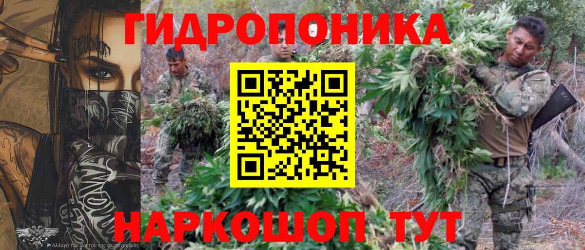 Конопля AK-47 Гуково